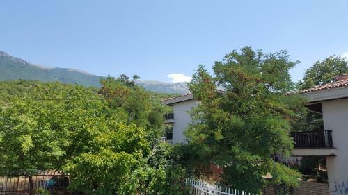 Apartments Villa Boris