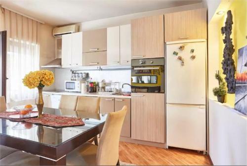 Apartmant Stasha