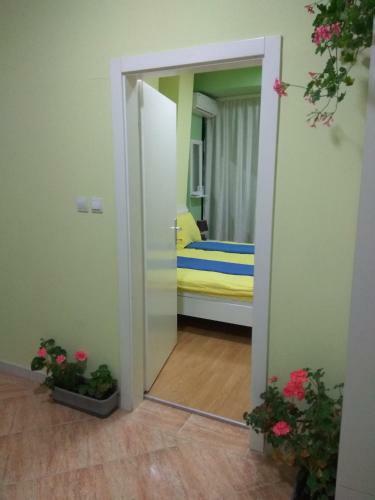 Maraton Apartment
