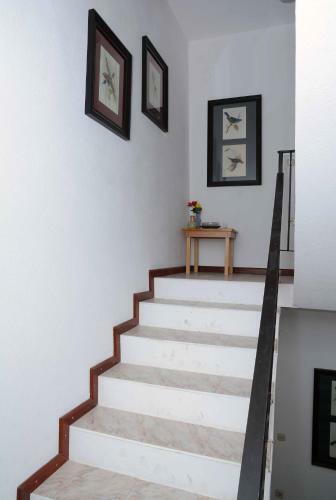 Hostal Vila Delfin