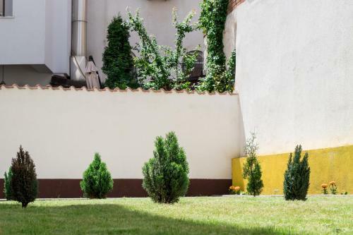 Ana's Apartments