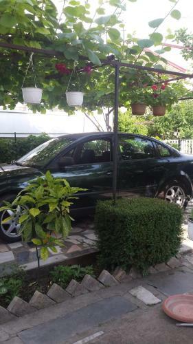 Apartamento House