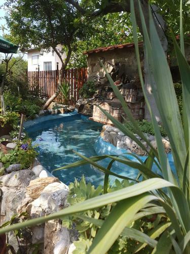 Hostal Vila Teodora