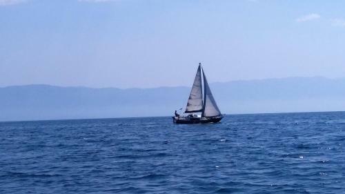 Apartamento Central Modern Apt Struga
