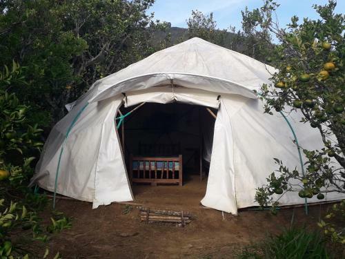 La Pacha Hostel