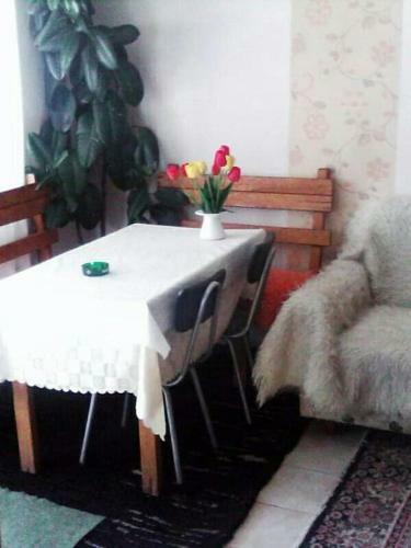 Hostal Villa Vrben