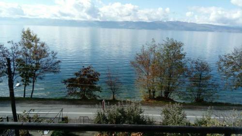 Hostal Guesthouse Zimovski