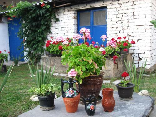 Hostal City Center Apartments