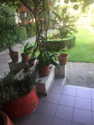 Hostal Villa Biljana Studios