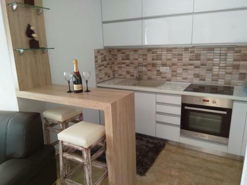 Biljana Lux Apartment