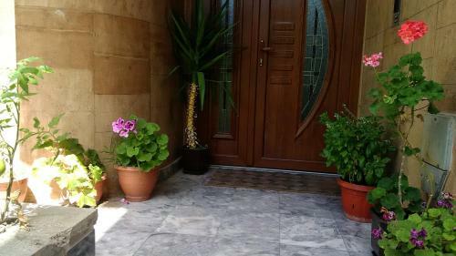 Teo Apartments