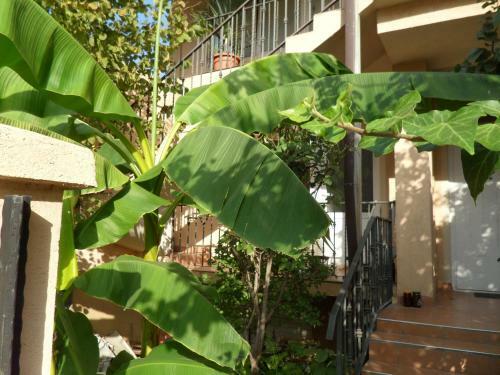 Apartamento Misko's Guest House