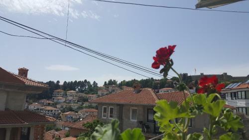 Hostal Villa Srma