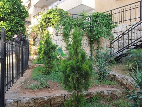 Dl Furnished Apartments