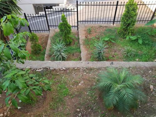 Dl Furnished Apartments