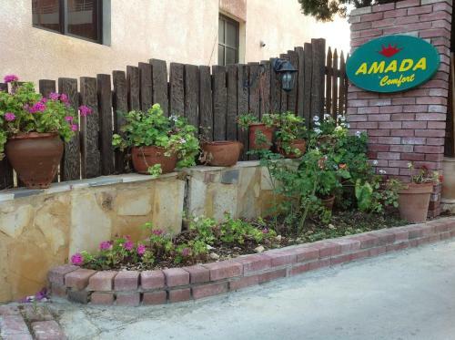 Hotel Amada
