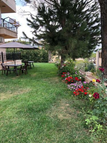 Hostal Honey Guesthouse