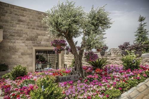 Apartamento Beit Misk