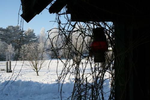 Hostal Chill Inn