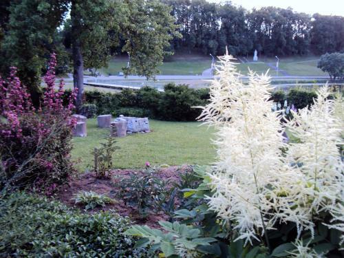 Hotel Saule