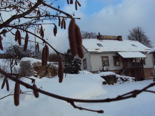Hotel Saule