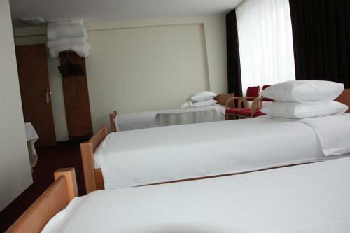Hotel Madona