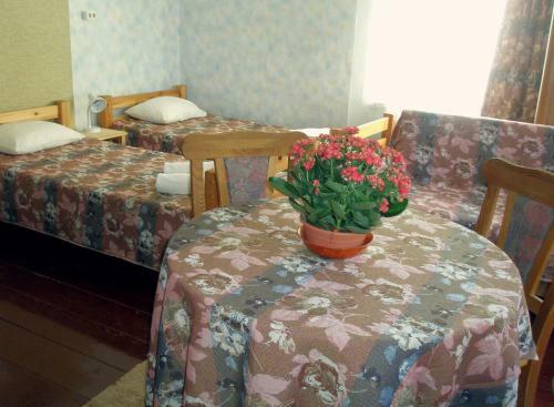 Hostal Meteorits