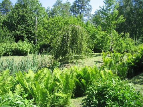Agroturismo Guest House Vidlau?i
