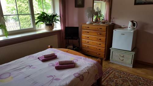 Hostal Saulrieti
