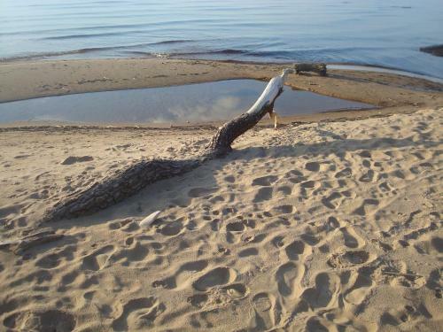 Singing Sands Apartment In Saulkrasti
