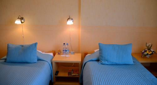 Hotel Demians