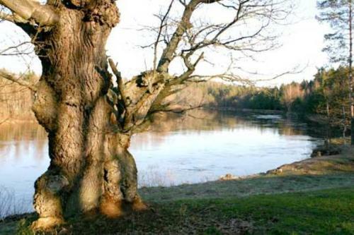 Jaunar?ji