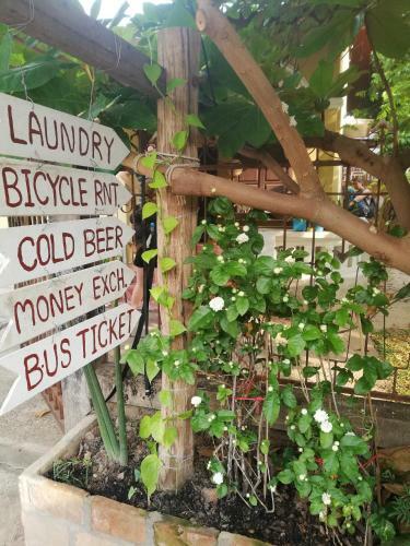 Albergue Bike&bed