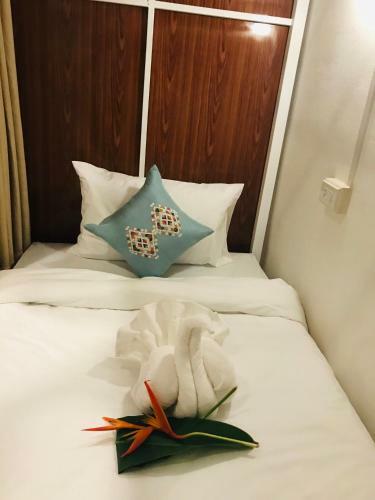 Sanga Hostel