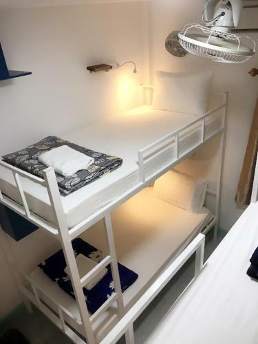 Downtown Backpackers Hostel 2