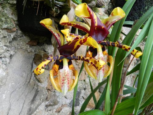 Hotel Estancia San Jorge