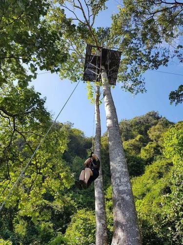 Albergue Elephant Adventure Village Tree House