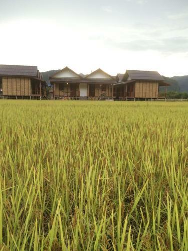 Hostal Thongdam Guesthouse