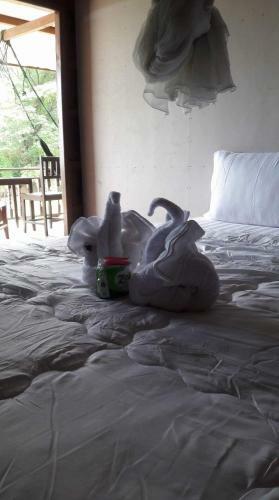 Hostal Riverside Bungalow