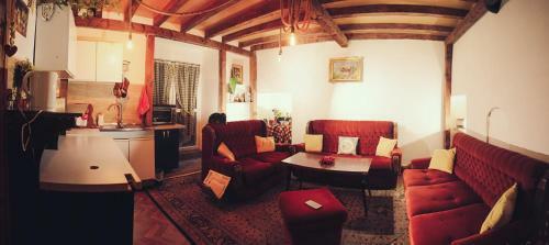 Albergue Driza's House