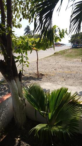 Bungalows Delfin