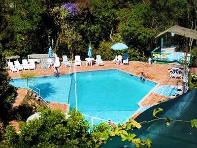 Hotel Forest