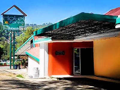 Hotel Forest