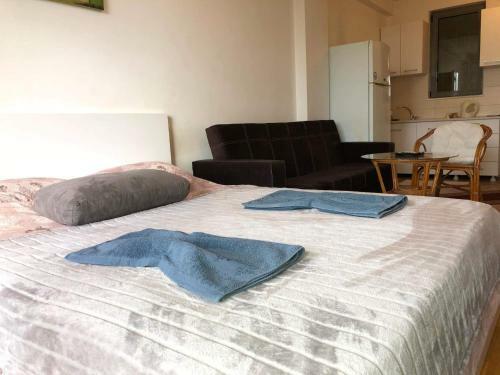 Downtown Studio Apartment