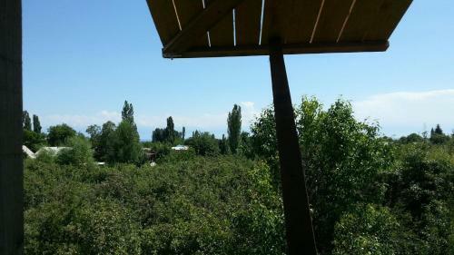 Bel-zhan Yurt Lodge