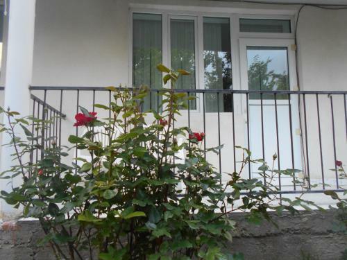 Hostal Boomerang Guest House