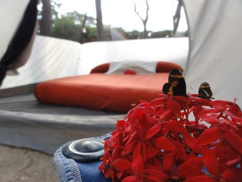Troncones Point Hostel