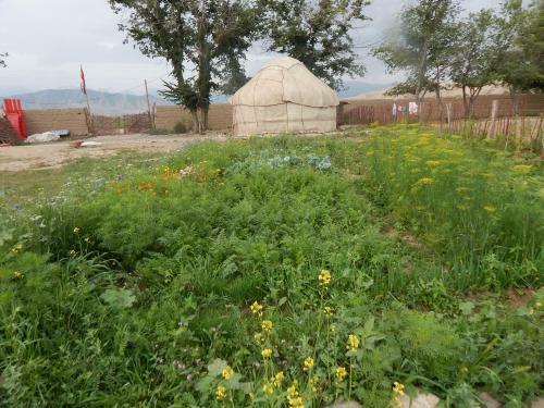 Jurten Camp Almaluu