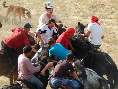 Jurten Camp Almaluu