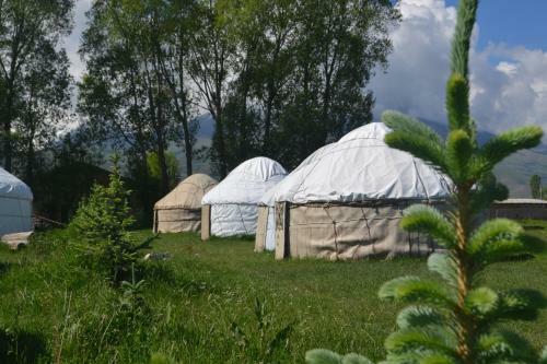 Jaichy Yurt Camp